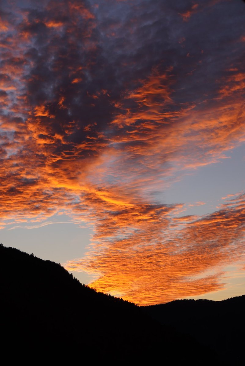 Robert Gesink tweet media