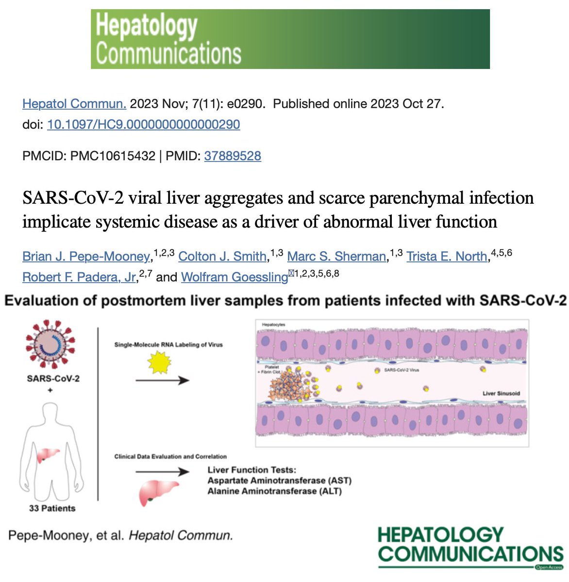 GoesslingLab's tweet photo. Congratulations to Brian, Colton, and Marc on their publication in Hepatology Communications! “SARS-CoV-2 viral liver aggregates and scarce parenchymal infection implicate systemic disease as a driver of abnormal liver function.” https://t.co/oGIQXSHU2n https://t.co/qhkAW2lmaK