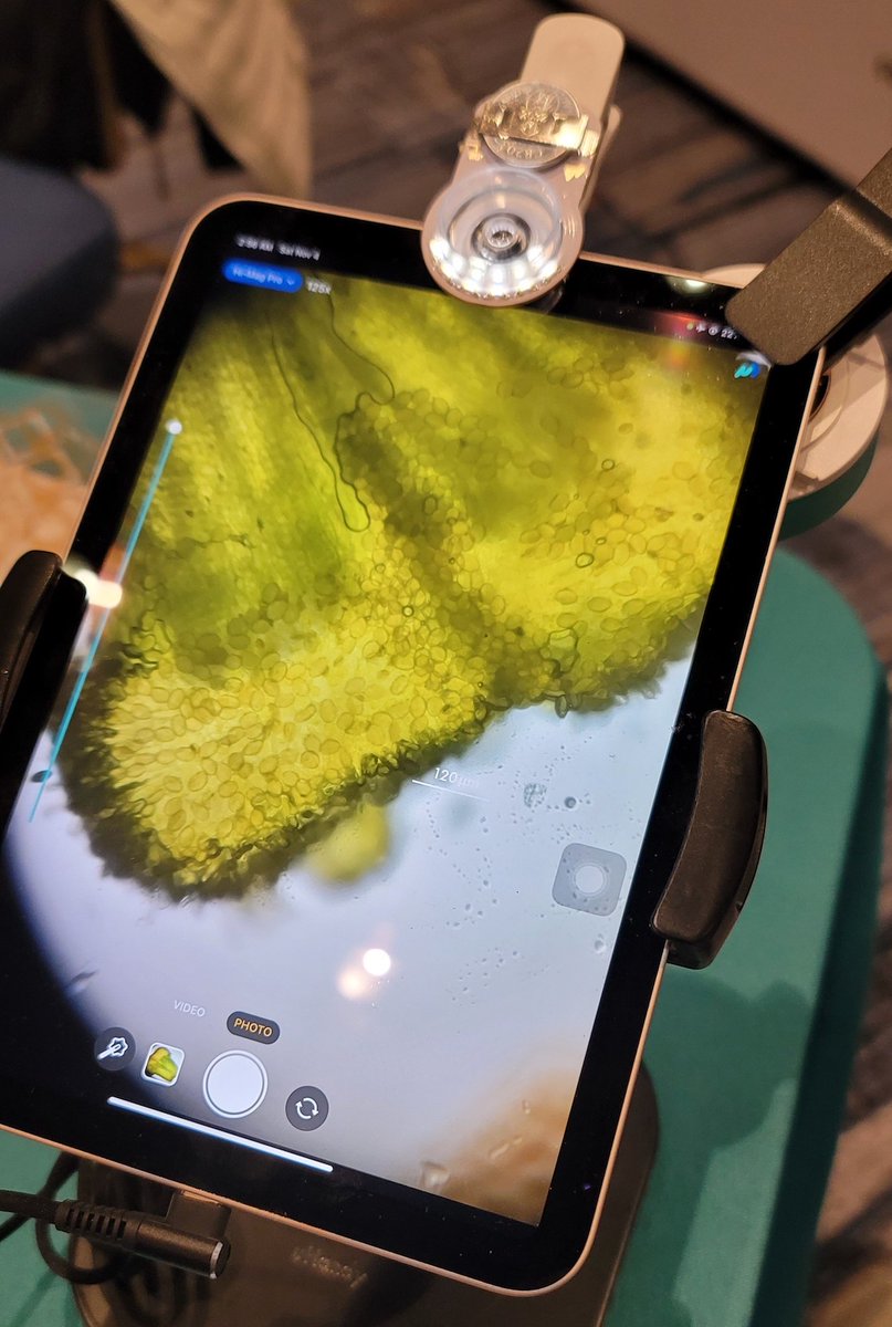 Wisc Fast Plants tweet media