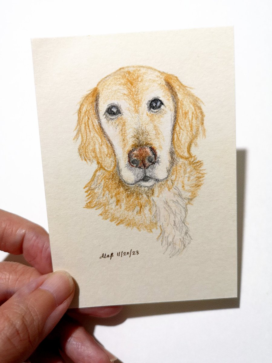 Remis_eyelashes's tweet photo. Look what's on its way to me!!
A beautiful picture of ME from the very talented @bouncebckbelle . Why not check out her account for Christmas gifts? Maybe a lovely picture of your favourite pet with beautiful eyelashes? ๐
Thank you Marj ๐ค https://t.co/HIg4fK0ztm