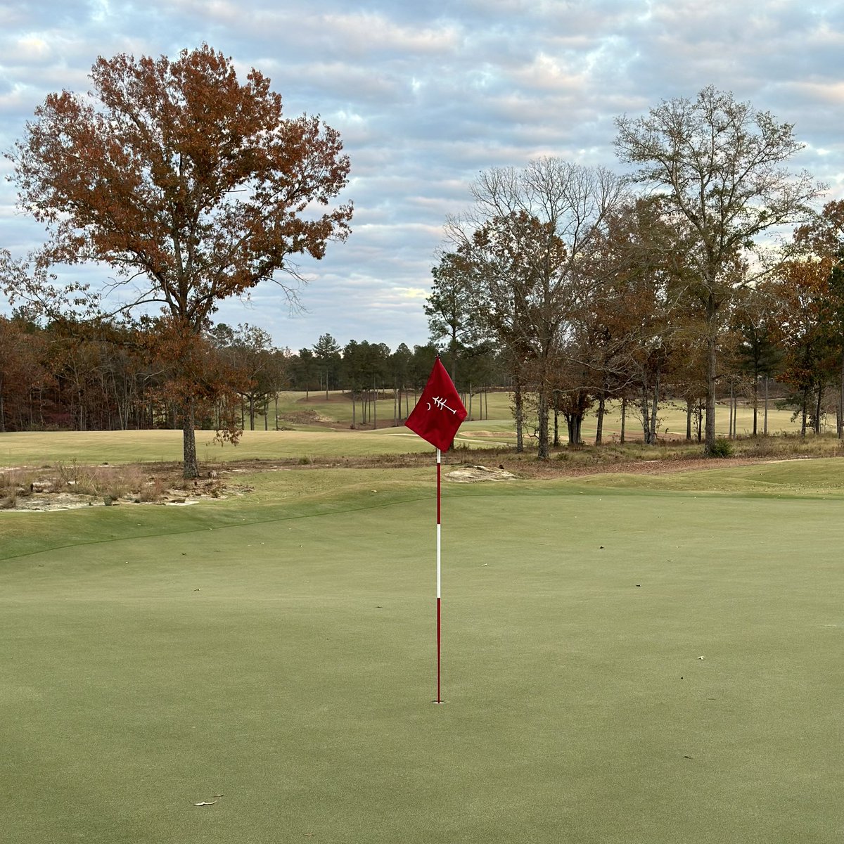 Kroisov16's tweet image. Two thumbs up for a quick visit to The Tree Farm to kick off the #OFFSZN
