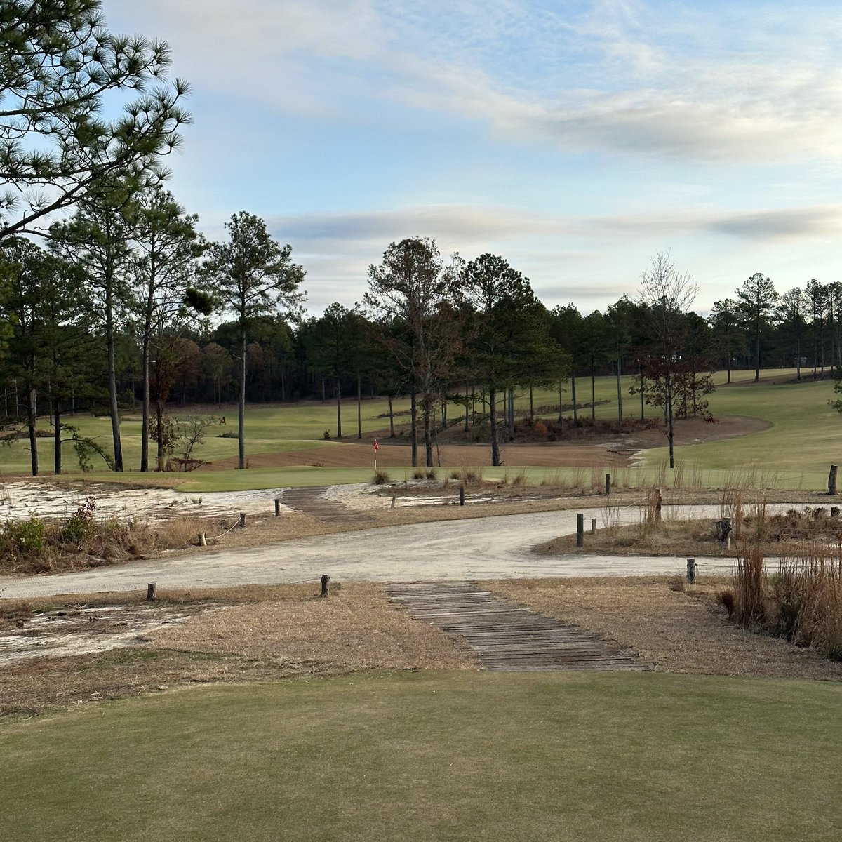 Kroisov16's tweet image. Two thumbs up for a quick visit to The Tree Farm to kick off the #OFFSZN