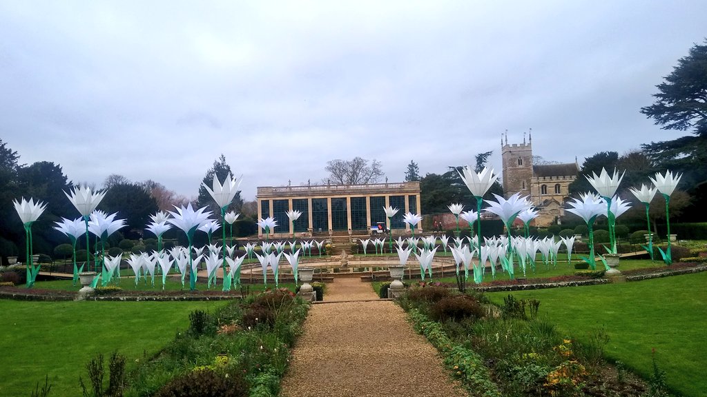 Seonaid Webb MBE tweet media