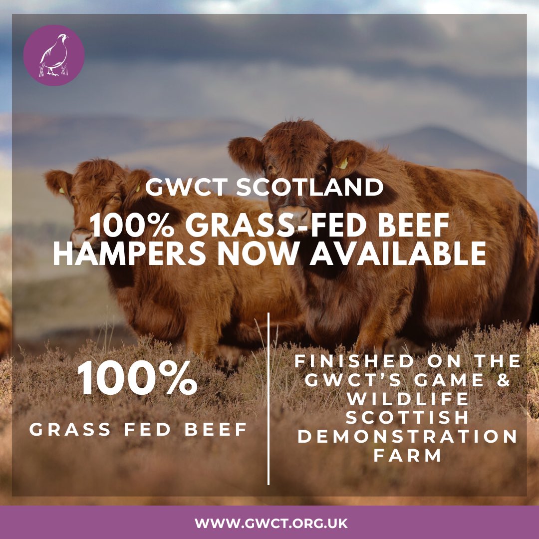 🎄ENJOY OUR AUCHNERRAN BEEF HAMPERS FOR CHRISTMAS🎄

We have a limited number of 100% grass-fed beef hampers available from Auchnerran, our GWCT Scotland Demonstration Farm.

Reserve your hamper before 22nd November: bit.ly/GWCTBeefHamper
