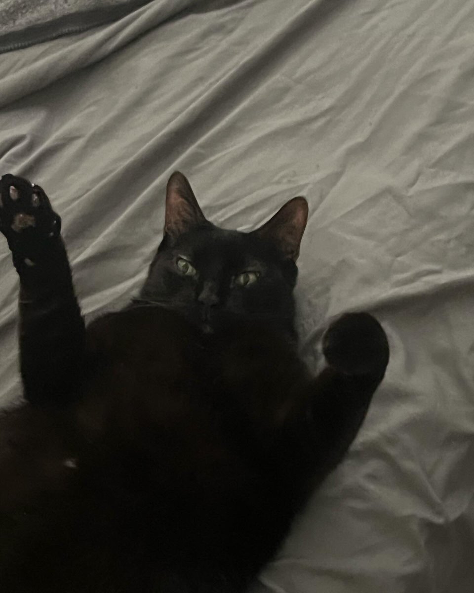 I can haz gif cart?
