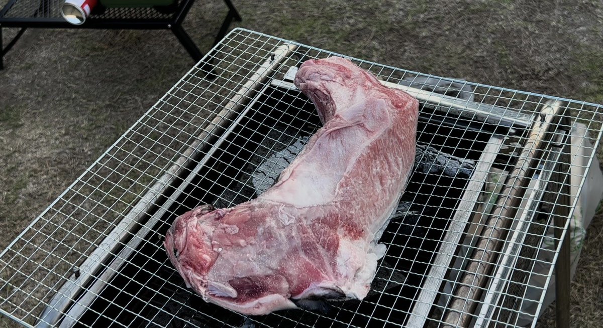 HASE154125442's tweet photo. BBQでマグロのカマ焼き！
これで1,100円ってびっくり🫢

CAMP YouTubeやっています！
https://t.co/47k3VKomhL

#youtube #camp #キャンプ #キャンプ飯 https://t.co/FsxEGMfTDW