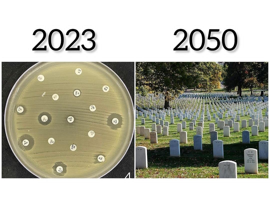 mICROBIOsh's tweet image. No tengo pruebas y tampoco dudas. 

🚨NO AL USO INDISCRIMINADO DE ANTIBIÓTICOS