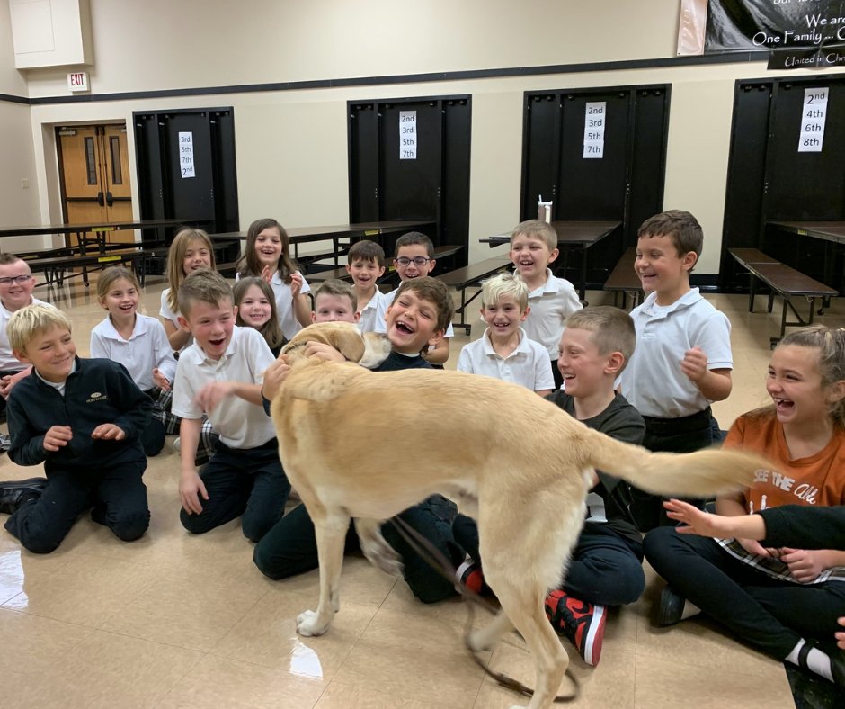 DOCCatholicSchools tweet media