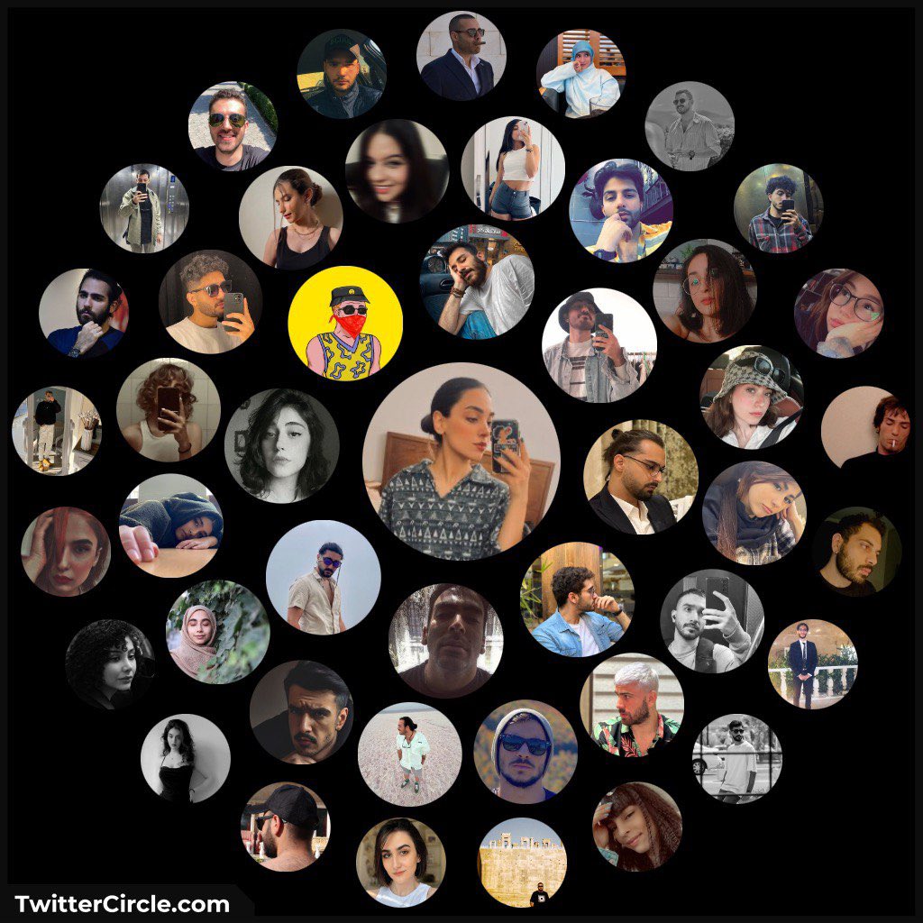 بابونه بنفش tweet media