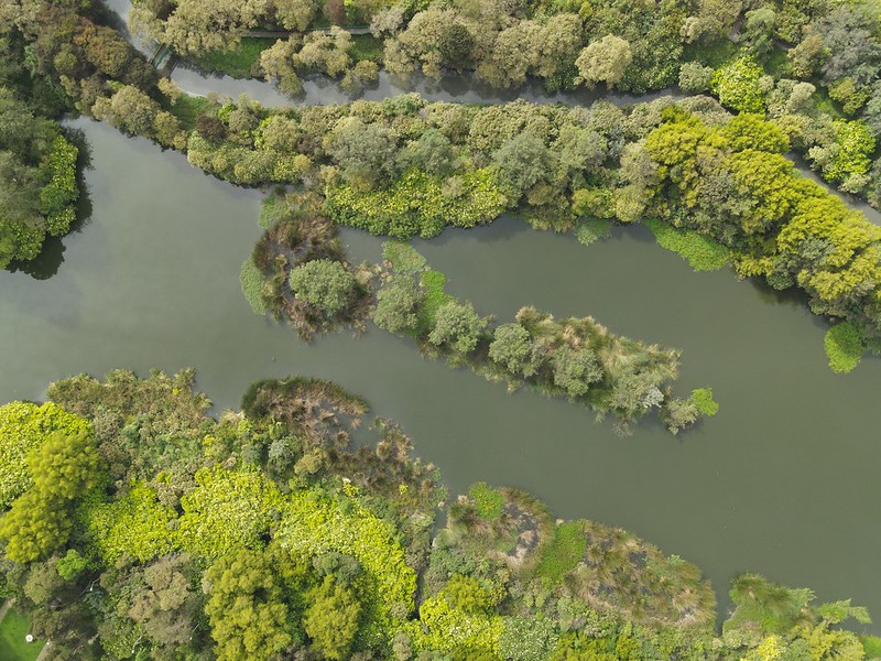 AcueductoBogota's tweet photo. ¿Quieres conocer los resultados de la colaboración entre @el_BID y nuestra Empresa durante el periodo 2020-2023?

Conéctate al #ForoBogotáAzul 💧🍃
⬇️

🗓️NOV22
⏰ 8AM
🔴Facebook: https://t.co/sXTIqZw7JR
🔴 YouTube: https://t.co/tkWsTvw8dQ

Más info: https://t.co/nWq0mQrg00 https://t.co/mLczC29x8G