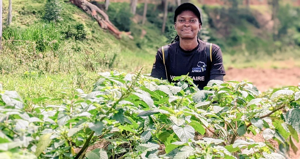 OliveNiyo's tweet photo. Cultivating vegetables is not just a practice; it's a meaningful effort to combat malnutrition and improve health. Vegetables, rich in essential nutrients ; play a crucial role in enhancing human well-being. Together we can💪
 @Gardens4Health 
@CorpsAfricaRda 
@RwandaHealth https://t.co/nyFJnwR2Bu
