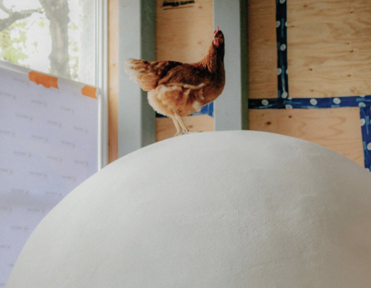 Attention experienced F&amp;B industry folk: the latest upcoming concept from the Banda Volpi (<a href="/savio_volpe/">Savio Volpe</a>) group, Osteria Elio Volpe, is currently building their founding team! How to apply and more, here: scoutmagazine.ca/2023/11/20/eli…