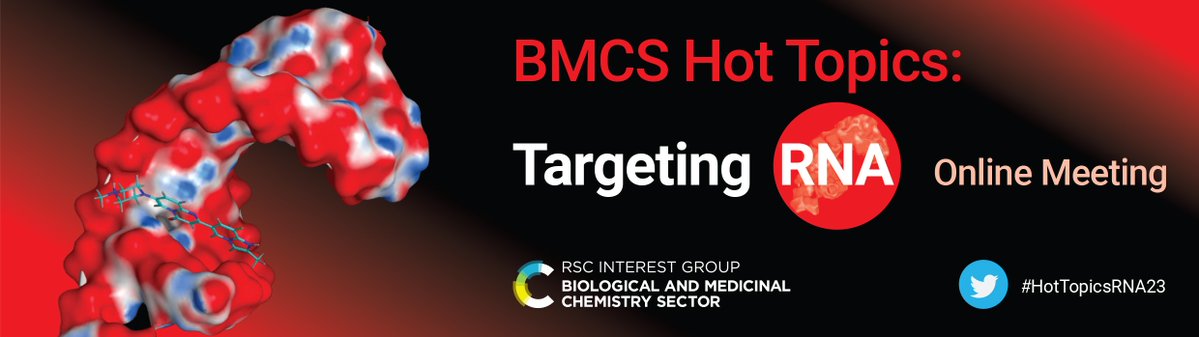 RSC_BMCS's tweet photo. Announcing our first speaker for RSC-BMCS Hot Topics: Targeting RNA 2023!

@MariaDuca_CNRS from @Univ_CotedAzur, speaking on "Design of multifunctional conjugates for the targeting of non-coding RNAs: anticancer and antimicrobial applications".

https://t.co/wLMYDkRkA3 https://t.co/fFqZfFBo7l