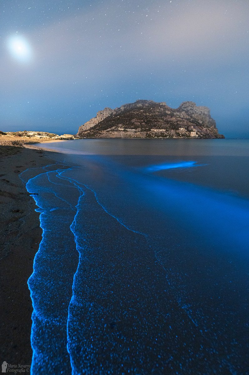 Mario Navarro tweet media