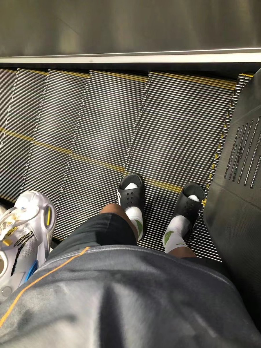 有生之年狭路相逢
终不能幸免
手心忽然长出 纠缠的曲线