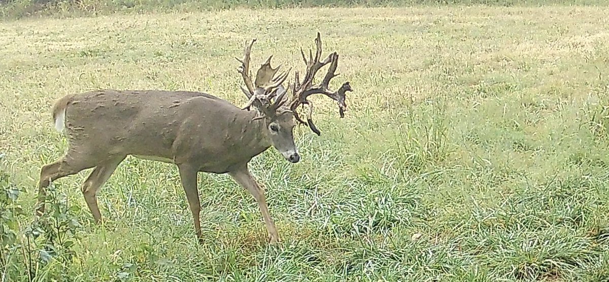 Look at the cool drops by this Oak Creek Giant's eyes!
#livingourbestlife #huntofalifetime #oakcreekexperience #oakcreekgiants