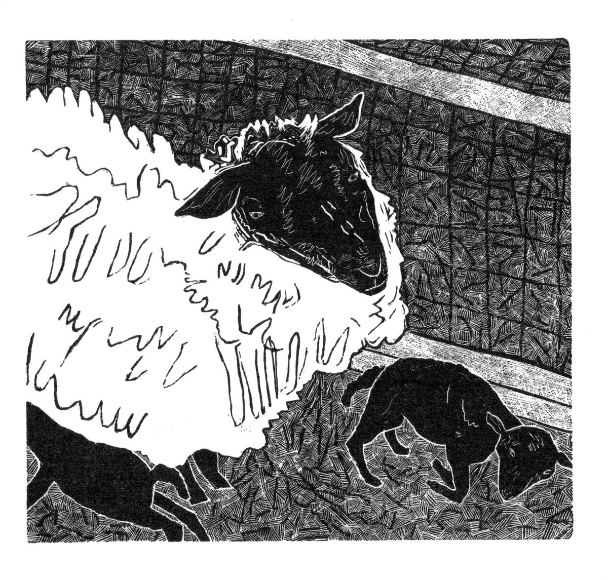 At last I’m posting my sheep and lambs! I drew them in March at lambing time and only now have finished the engraving. Hope to go back to the farm and draw more lambs next spring!
Available from my website.
sallyhands.co.uk
#woodengraving #printmaking