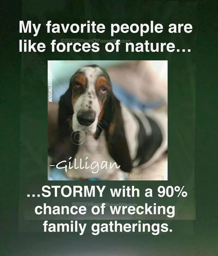 dog survival (@dogssurvival) on Twitter photo 