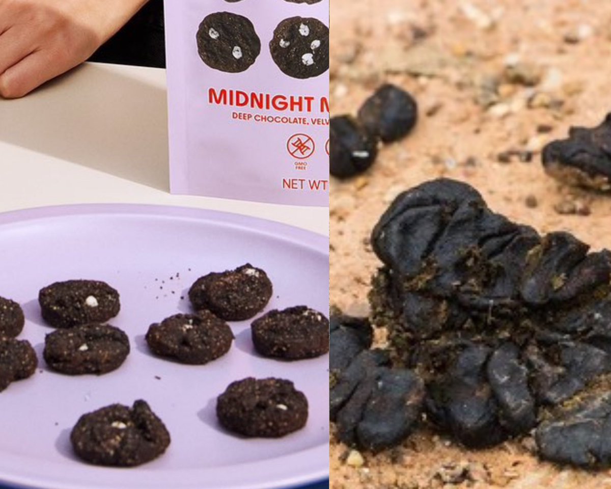 HikariRust's tweet photo. @pokimanelol i’m too broke to afford this dried looking dog poop snack https://t.co/QpYLgKXe4c