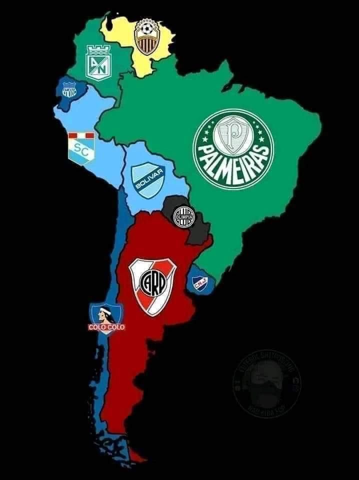 Fanática do Verdão tweet media