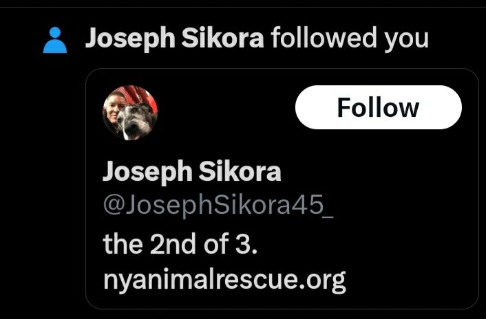 magzz's tweet photo. When you get this notification and your like..😲 oh my god!!!!  then you realise it's a fake profile 😡 damn imposters getting me all excited ! 😂 @JosephSikora4 https://t.co/sV9RH5HvXi