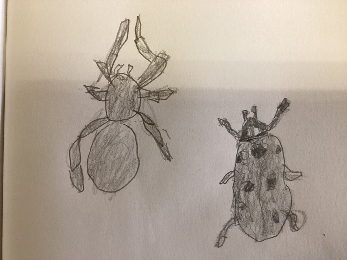 KatieManoy tweet media