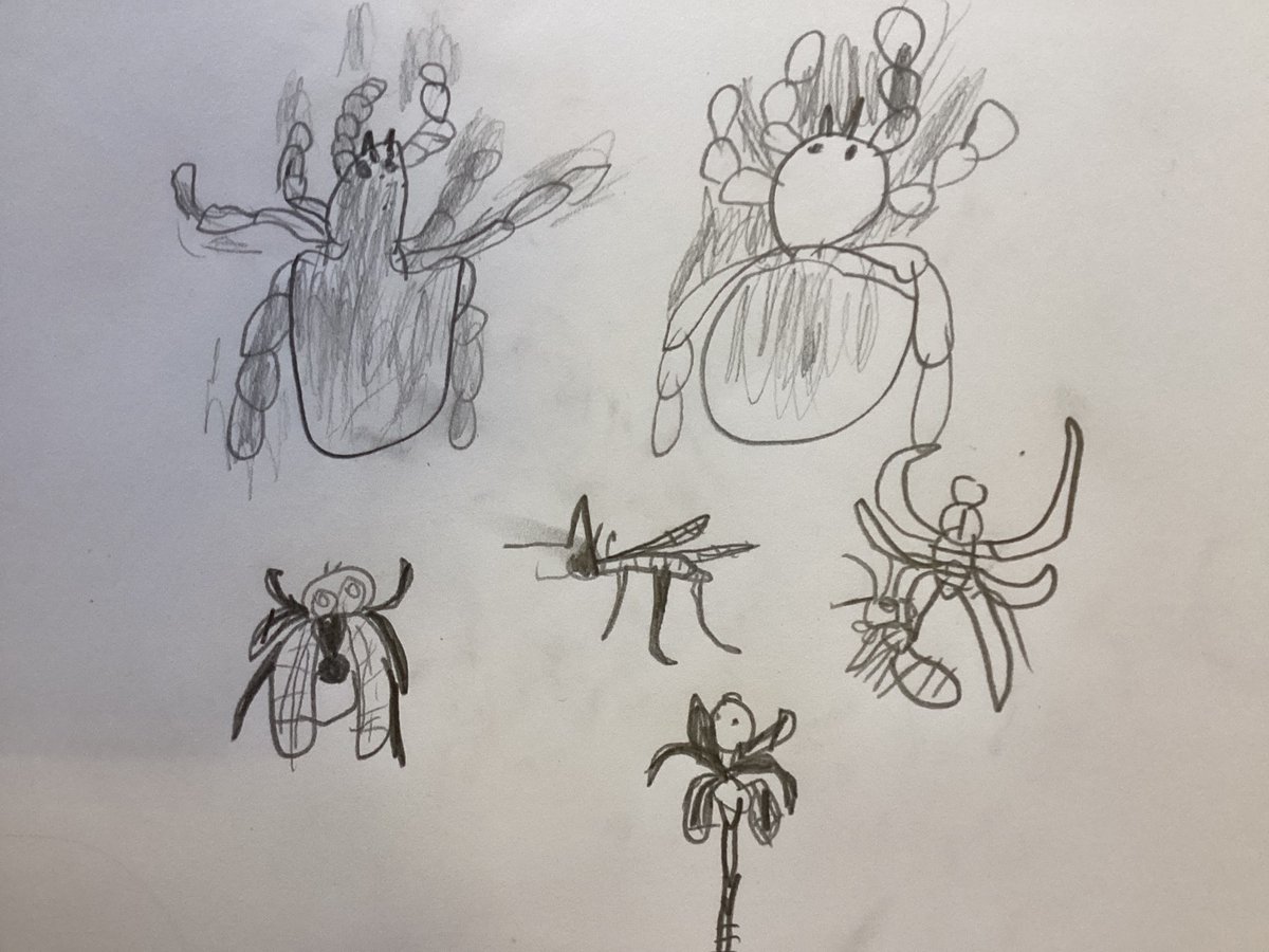 KatieManoy tweet media