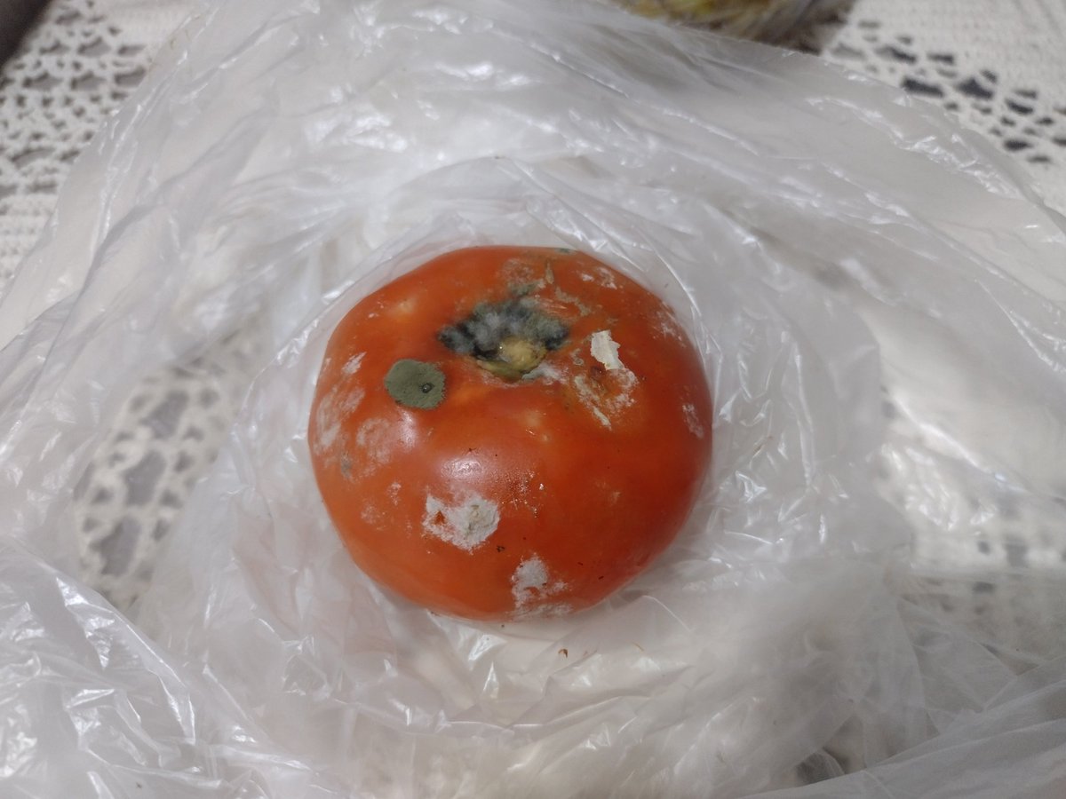 lanaflowerz's tweet photo. Fml fiquei 60 horas sem luz e o resultado foi que minha comida na geladeira estragou!!!

Quem puder dar uma força pra eu conseguir comprar mais comida eu agradeço.... https://t.co/y7v4s0EGHq
