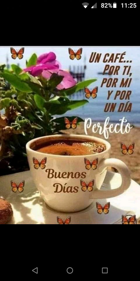 Bonito dia