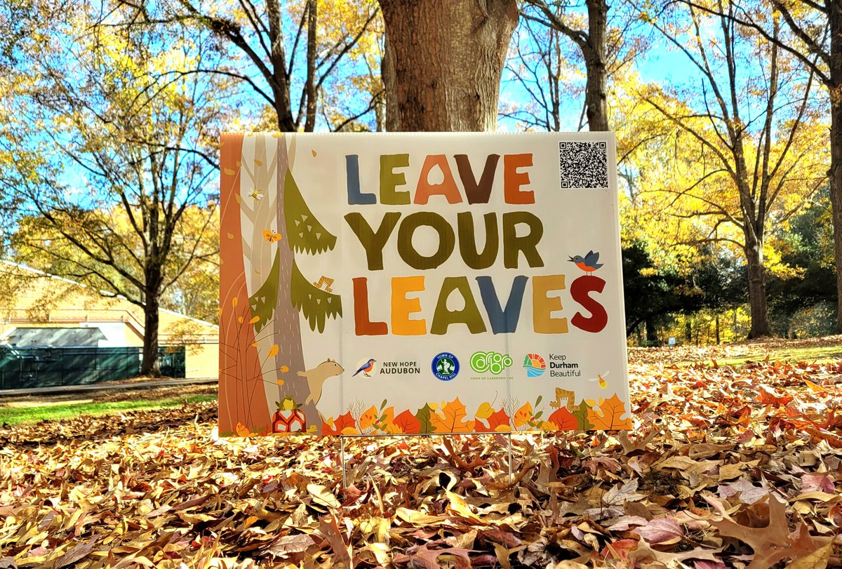 Take the Leave Your Leaves pledge! 
You will:
🍁contribute to a healthy ecosystem
🍁improve soil/tree health, support butterflies/bees/birds 
🍁reduce flooding/pollution

Live in Chapel Hill or Carrboro and take the pledge? Get a free yard sign!

Sign up: ecs.page.link/x1U4M