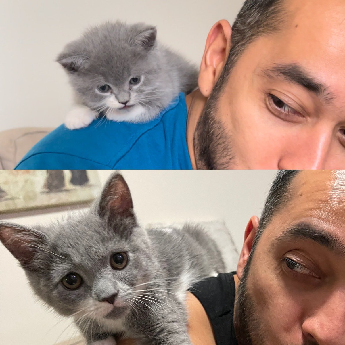 <a href="/ShouldHaveCat/">Why you should have a cat</a> ❤️❤️❤️