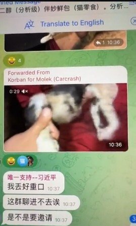 PhaedraXTeddy's tweet photo. PLEASE help 🆘️ RETWEET to 
Attention 🆘️@chairmang🆘️ 🆘️@randpaul 🆘️
🆘️@gregsteube🆘️ 🆘️@SenJoniErnst 🆘️
#Chinese abuse torture channels dont belong on the #worldwideweb! 
#CCP #CHINA is doing it on purpose.  
#China wont outlaw #AnimalCruelty but it shouldn't be exported to the rest of the world ! Companies that give it a platform, even monetize them, should be disappeared offline and charged with the crimes they advocate by showing as entertainment.
What they do is the worst you can imagine even sexual.
#Chinese government employees just block me when I tell them what #China exports.
