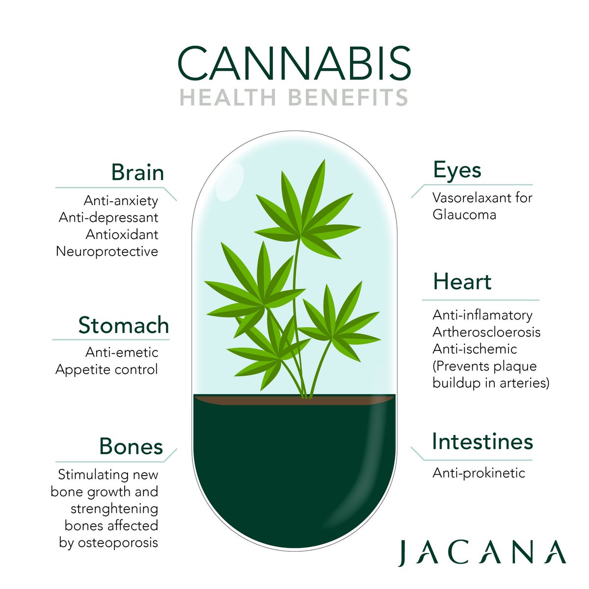 JacanaLife's tweet photo. Cannabis can provide a positive impact on so many parts of our bodies, minds and soulsโฆ
Comment below to share how you think it helpsโฆ
โข
#CannabisExperience #JACANA #CannabisEnthusiasts #HealthyLiving #MarijuanaCommunity #Organic #QualityProducts #HighQualityCannabis https://t.co/41hFOgU7ZA