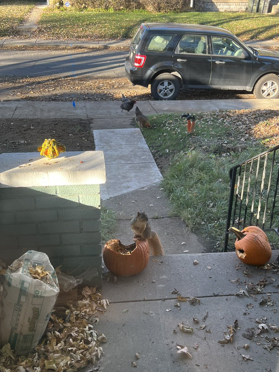 queen ᵔ ᵕ ᵔ tweet media