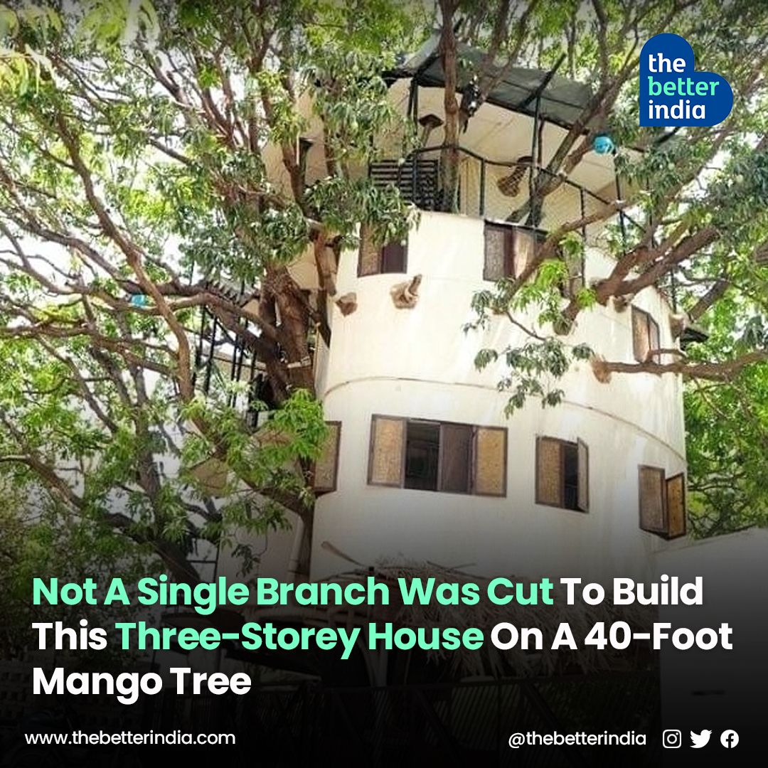 This unique home, perched atop a 40-foot mango tree in Udaipur, belongs to Kul Pradeep Singh and his family. Singh's journey began in 1999 when he set out to find a plot of land in Udaipur. 

#treehouse #sustainableliving #LimcaBookofRecords #Udaipur #NatureLiving