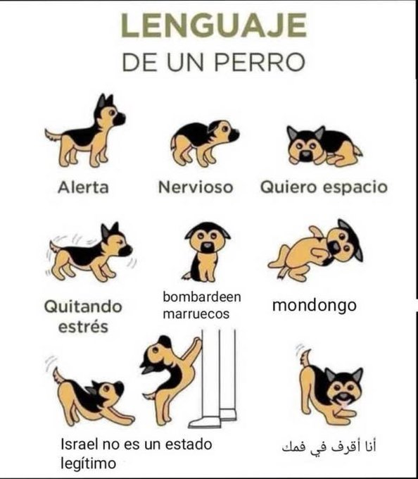 frigosouul's tweet photo. mirad que interesante https://t.co/yUXpWsKozJ
