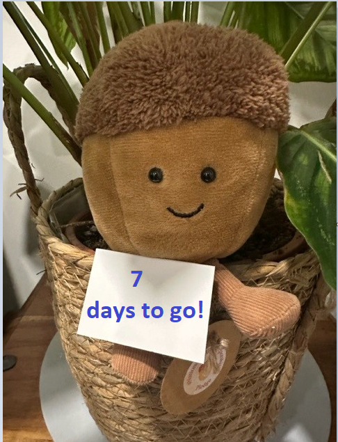 #NationalAHPPreceptorship #Oakley #Countdown 👀👇 Look out for emails hitting inboxes from this evening regarding the launch of the AHP Preceptorship Standards and Framework. More Comms on social media from tomorrow 💗