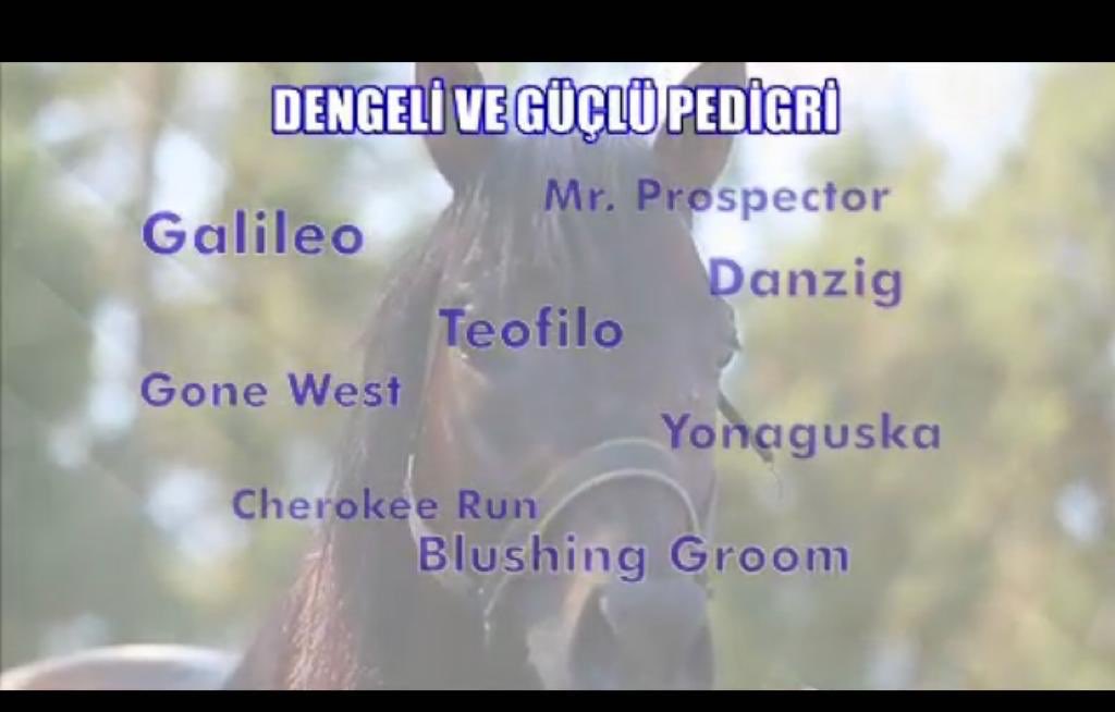 Bekleriz🧲🧲🧲