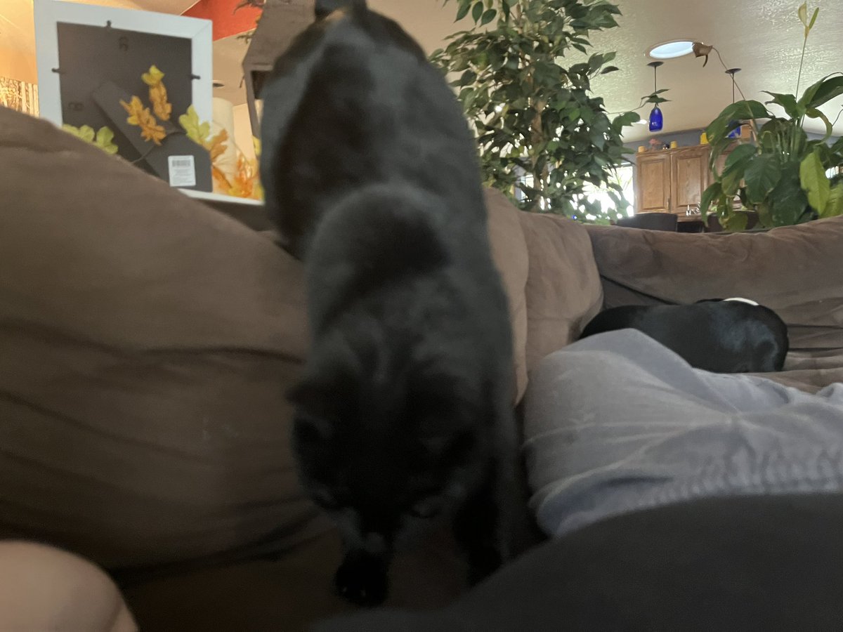 AngelNederhood's tweet photo. plot twist: the void allowed affection https://t.co/zGxkluCvJu