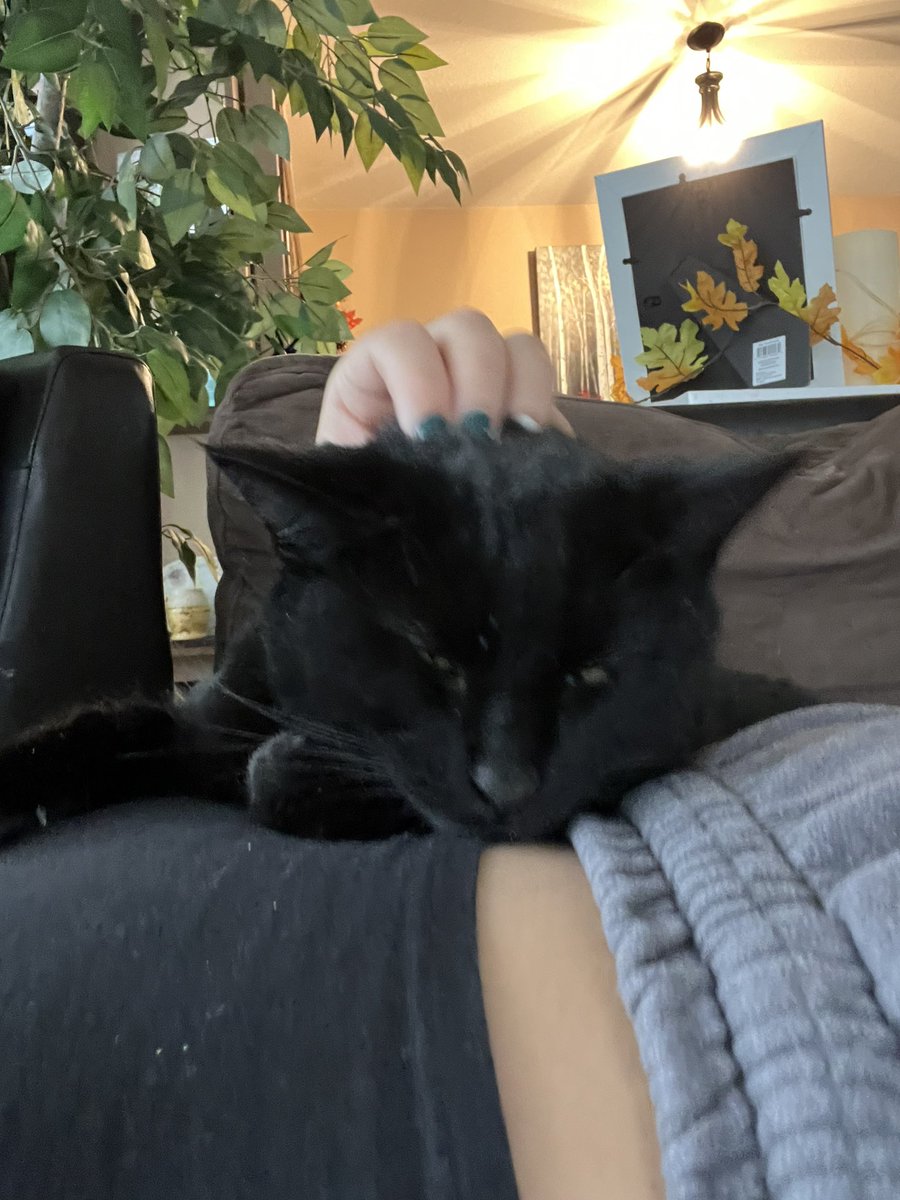 AngelNederhood's tweet photo. plot twist: the void allowed affection https://t.co/zGxkluCvJu