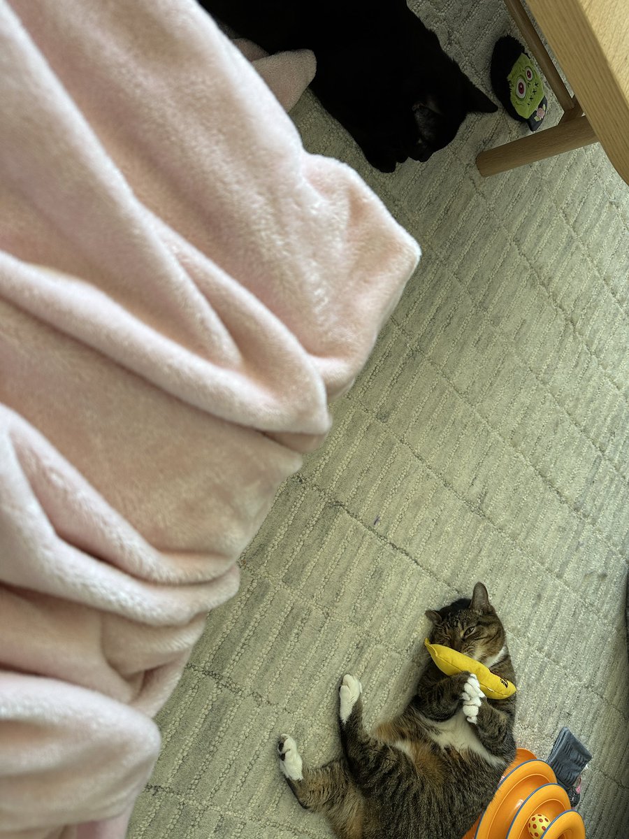 lilsimsie tweet picture