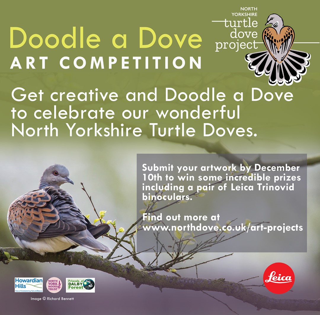 north_dove's tweet photo. Doodle update for our competition! Deadline extended &amp; submissions by post or by instagram! All new details here: https://t.co/O4Uu9cYsmk pls retweet &amp; get doodling we need your purrfect doodles! https://t.co/OveDRhqPEp
