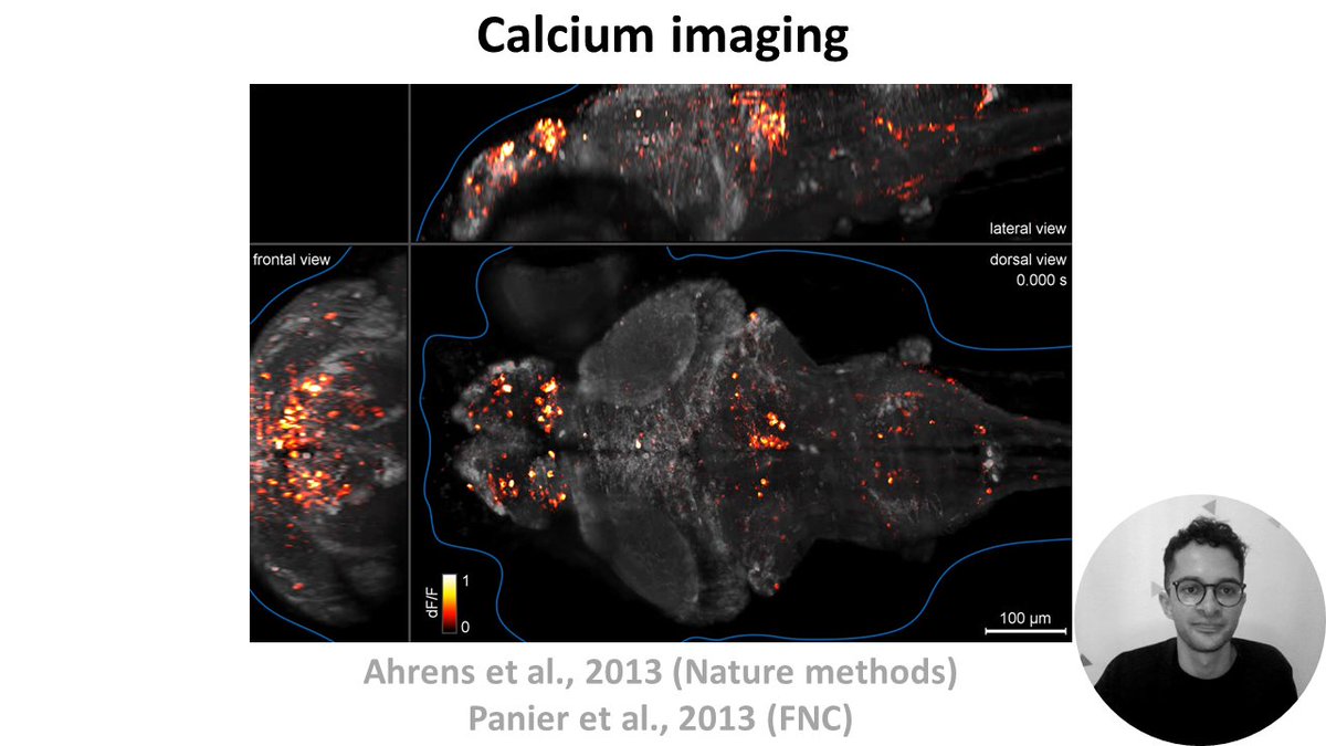 Marcus Ghosh (@marcusghosh) on Twitter photo In W6-V0, I introduce different methods for observing neural activity in biological systems.
Feat work from: <a href="/neurvanna/">Anna Lebedeva</a>, <a href="/MishaAhrens/">Misha Ahrens</a>, @daniobrain, @LaboJeanPerrin, <a href="/russpoldrack/">Russ Poldrack</a>, <a href="/markdhumphries/">Mark Humphries</a> and many others. In W6-V0, I introduce different methods for observing neural activity in biological systems.
Feat work from: <a href="/neurvanna/">Anna Lebedeva</a>, <a href="/MishaAhrens/">Misha Ahrens</a>, @daniobrain, @LaboJeanPerrin, <a href="/russpoldrack/">Russ Poldrack</a>, <a href="/markdhumphries/">Mark Humphries</a> and many others.