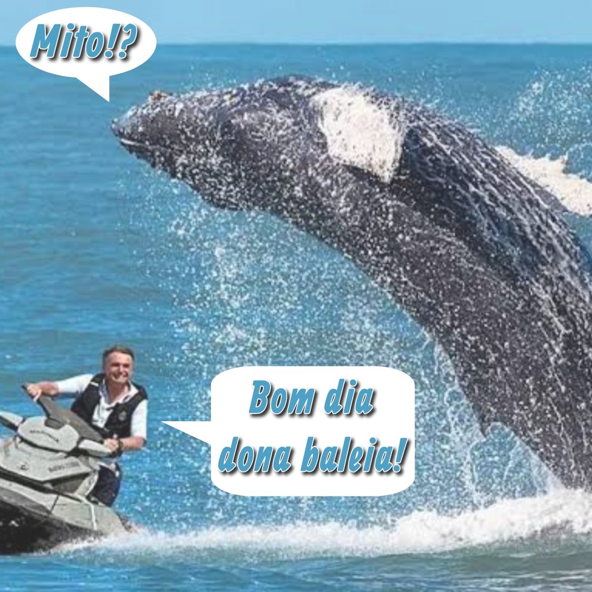 🫡🐳