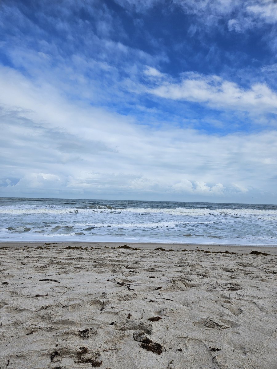 Our Monday view