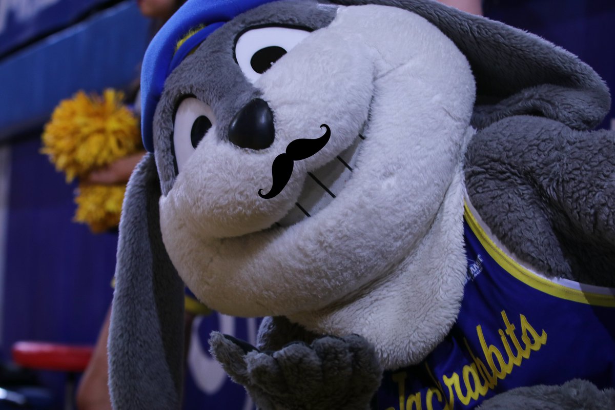 Jack has been working on his mustache to remind guys to eat right, exercise, & stay social! Help Jack & Brookings Health spread the #Movember movement. Learn about important #MensHealth issues at brookingshealth.org/Movember.

#GoJacks 🐰