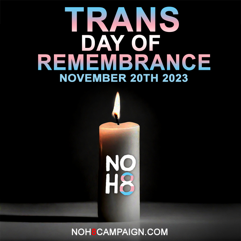 We must never forget the lives lost to anti-transgender violence & discrimination. 🏳️‍⚧️ RT to support the #TransgenderDayofRemembrance! #NOH8 #TDOR