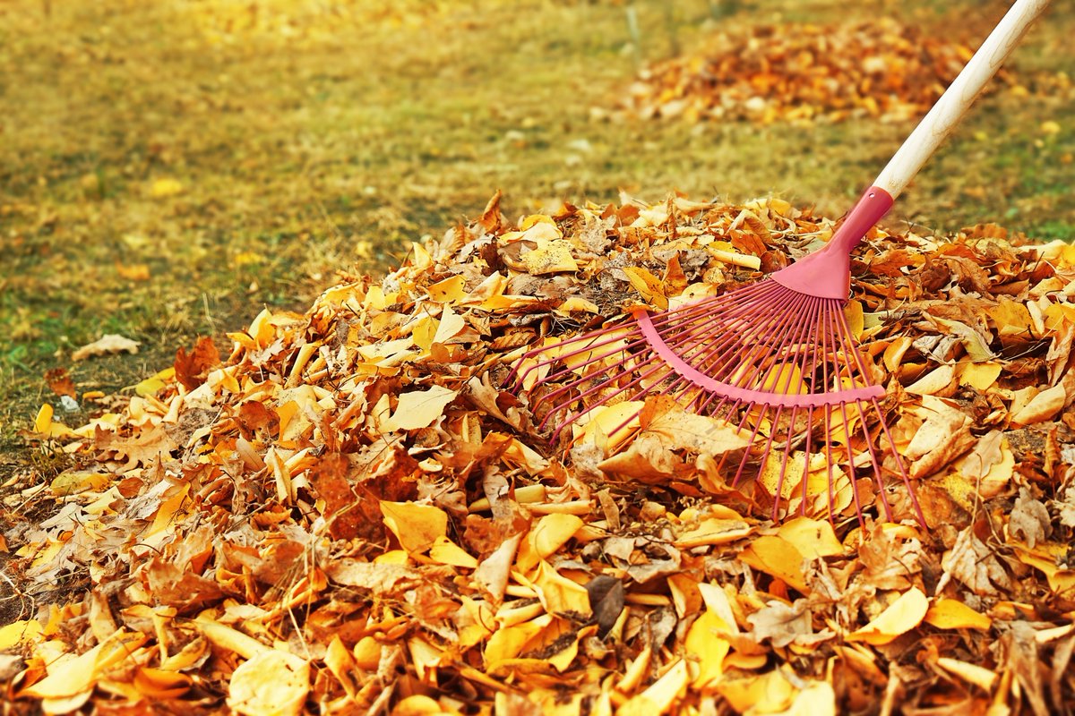 With heavy rainfall expected Tues-Wed, DPW will be monitoring known problem areas and clearing stormwater drains throughout the day.

Please ensure leaf piles are not obstructing gutters or storm drains. 

WPD and WFD will monitor road conditions as well.
