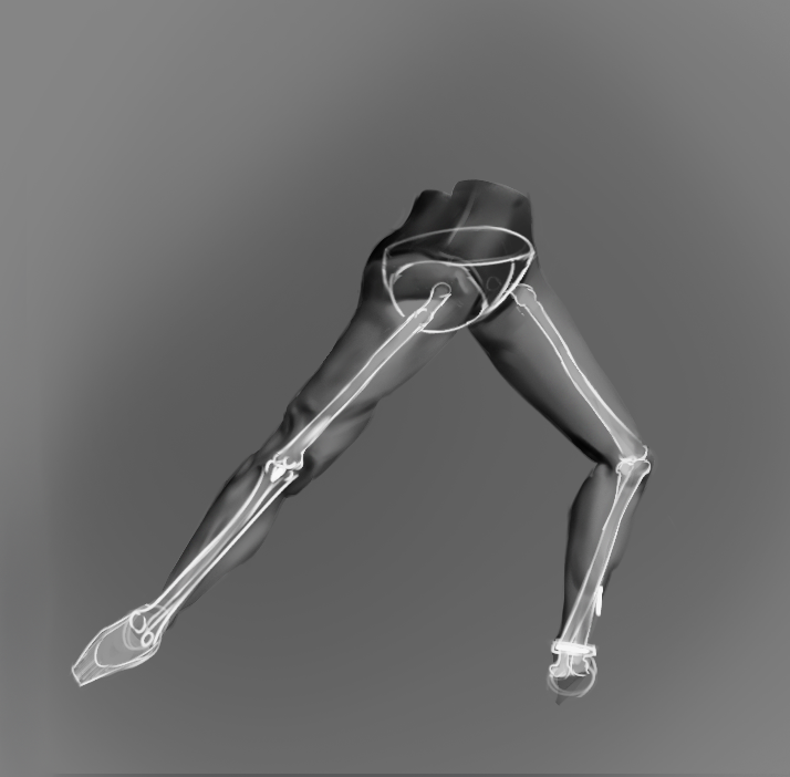 lispainter's tweet photo. Some legs. I may have drawn the bones wrong. I don't quite understand their structure. But I know exactly how they limit the length of the leg. I hope to make fewer mistakes with the proportions. I'll do some more studies. #anatomy #drawing #sketch #study #legs #digitalart #rkgk https://t.co/PE3qlTbFho