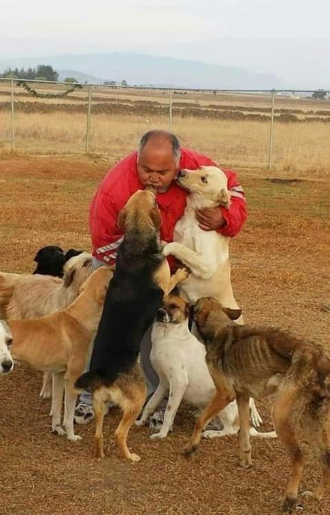 rogeliomtz75's tweet photo. Cuándo te tambaleas, llegan los refuerzos para fortalecerte. 🐾❤️ https://t.co/HxqPlpkBXw